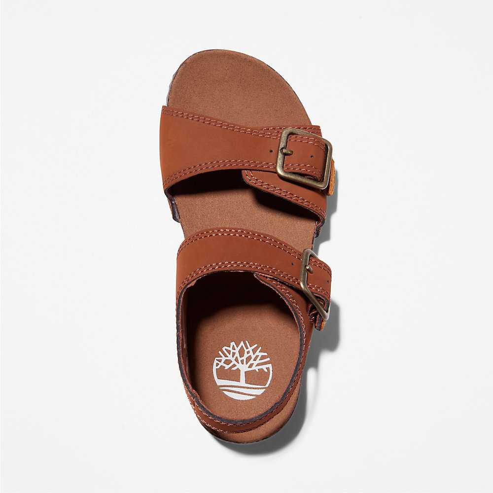 Kids' Timberland Castle Island Sandals Brown | UAE-6412085