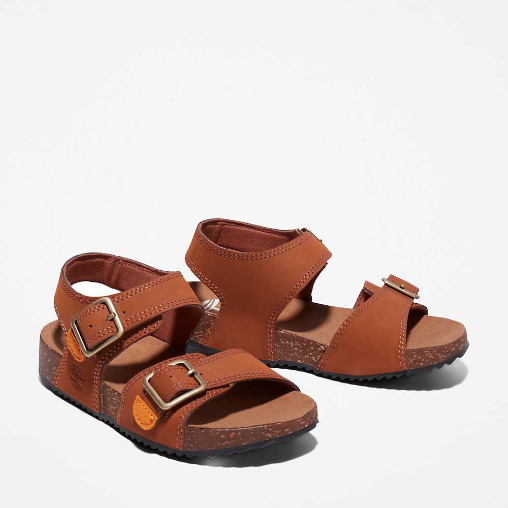 Kids' Timberland Castle Island Sandals Brown | UAE-6412085