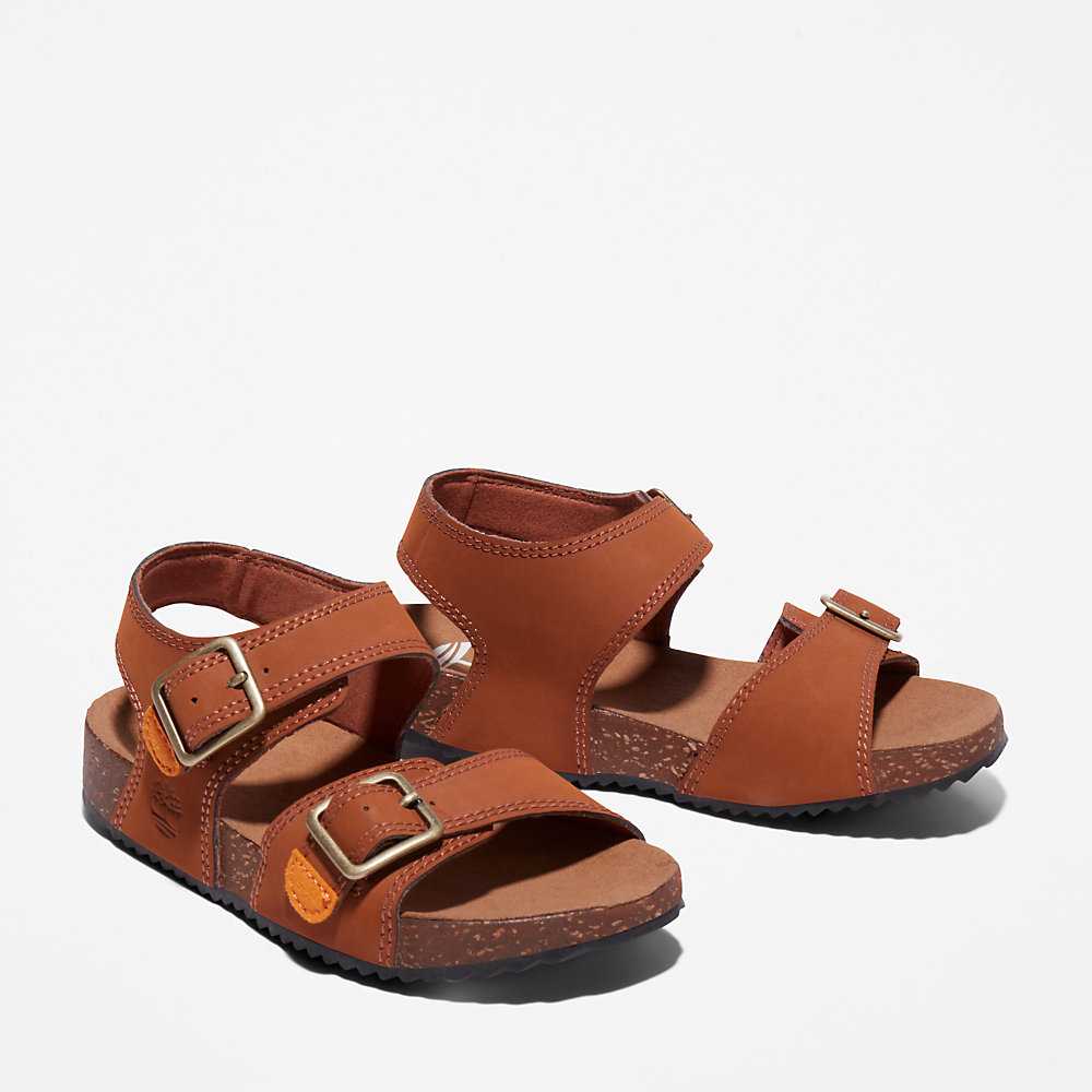 Kids' Timberland Castle Island Sandals Brown | UAE-7391582