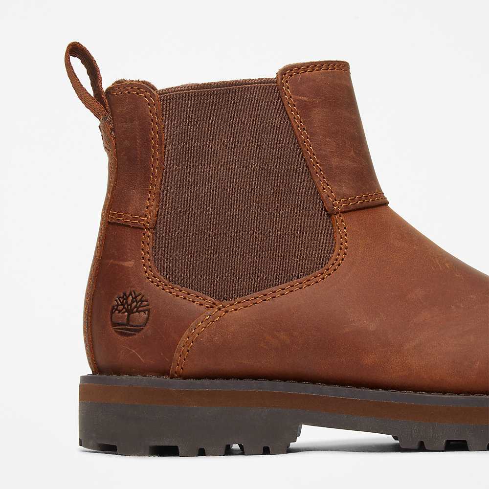 Kids' Timberland Courma Chelsea Boots Brown | UAE-4219539