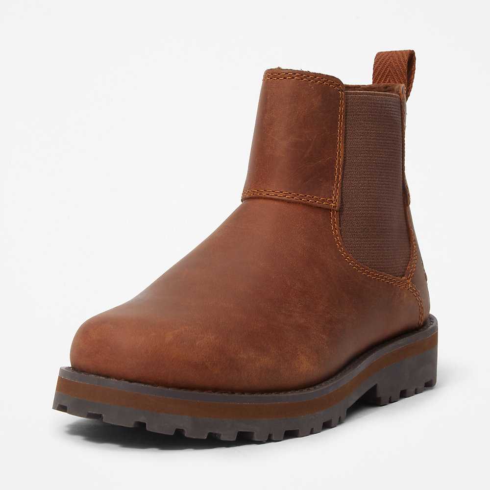 Kids' Timberland Courma Chelsea Boots Brown | UAE-4219539