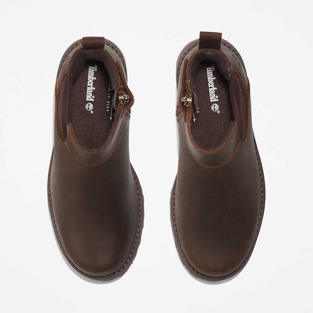 Kids' Timberland Courma Chelsea Boots Brown | UAE-4219540