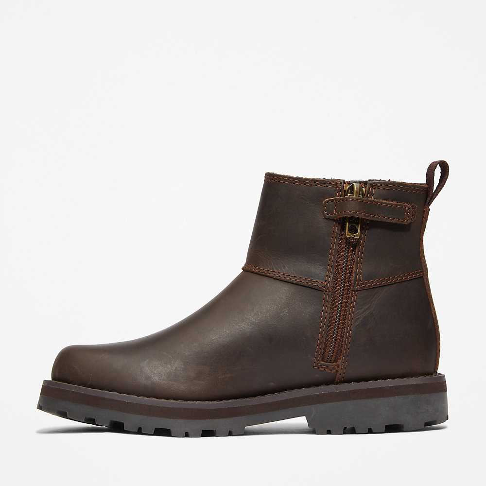 Kids' Timberland Courma Chelsea Boots Brown | UAE-4219540