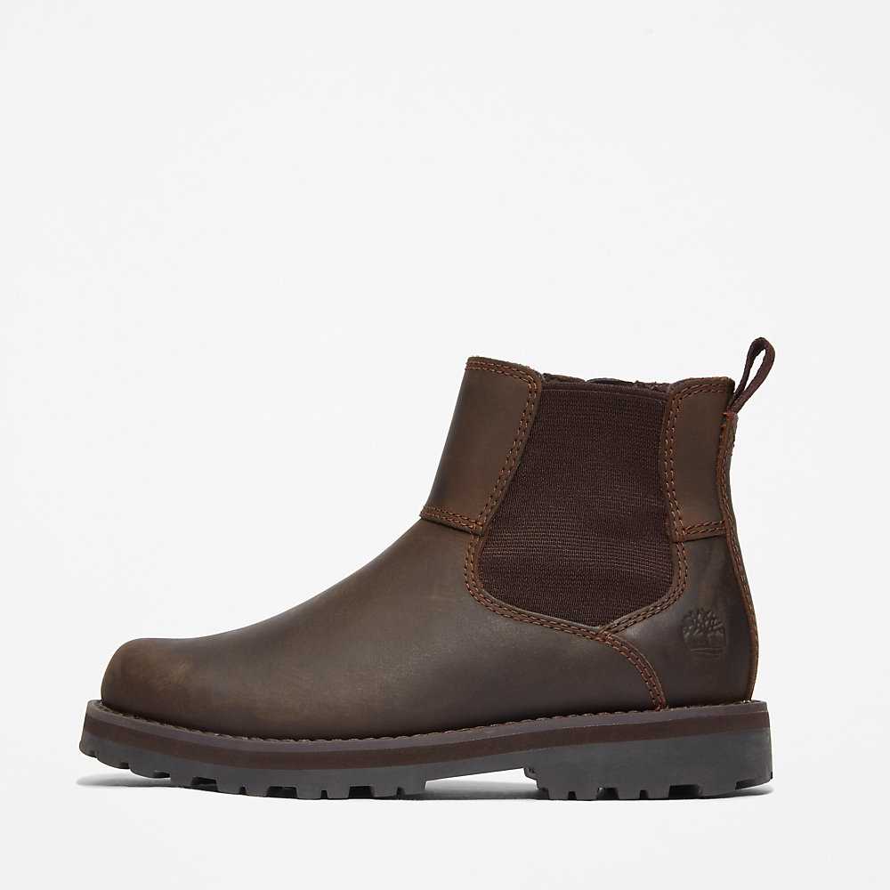 Kids' Timberland Courma Chelsea Boots Brown | UAE-4219540