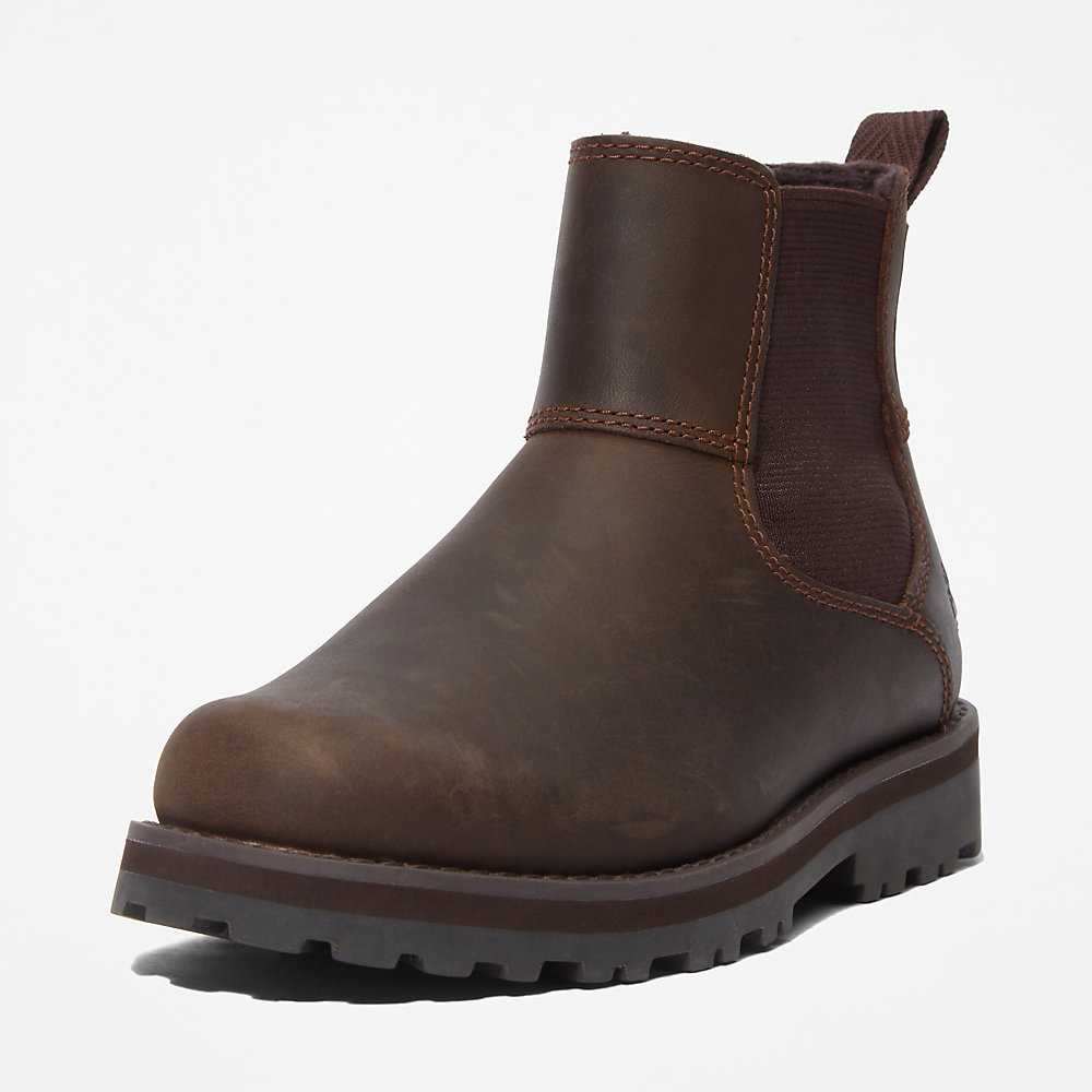 Kids' Timberland Courma Chelsea Boots Brown | UAE-4219540