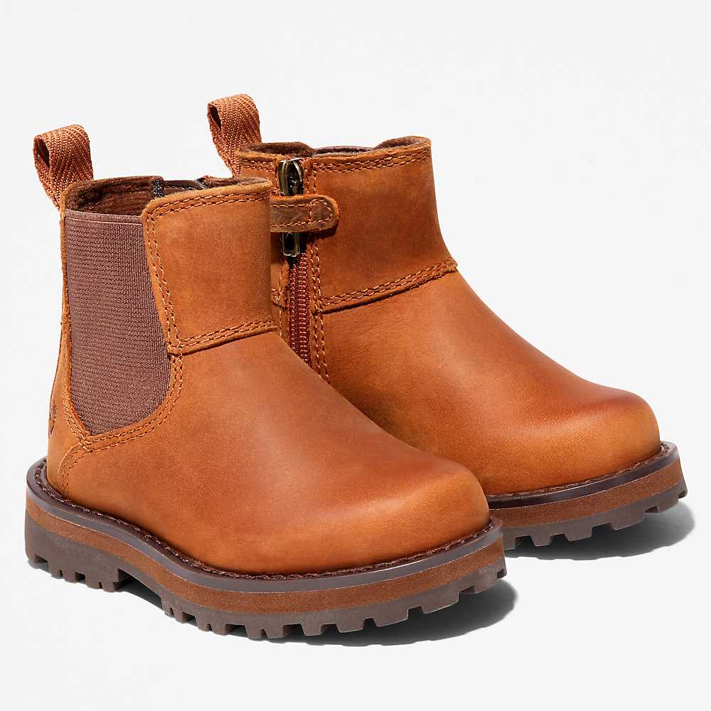 Kids' Timberland Courma Chelsea Boots Brown | UAE-4219551