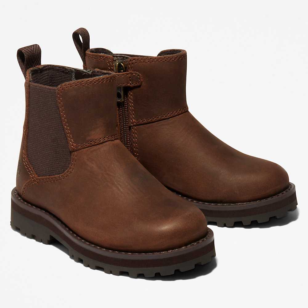 Kids' Timberland Courma Chelsea Boots Dark Brown | UAE-4219550