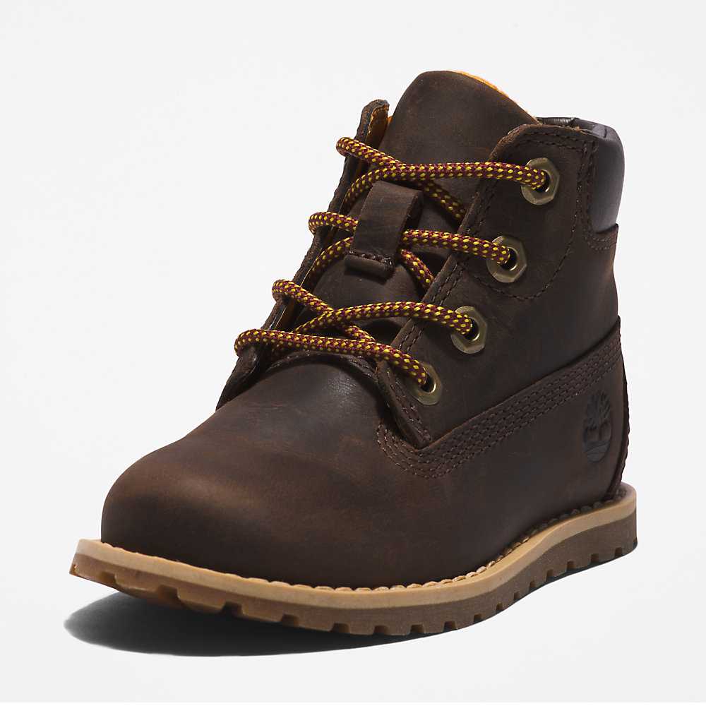 Kids' Timberland Pokey Pine Waterproof Boots Dark Brown | UAE-4219642