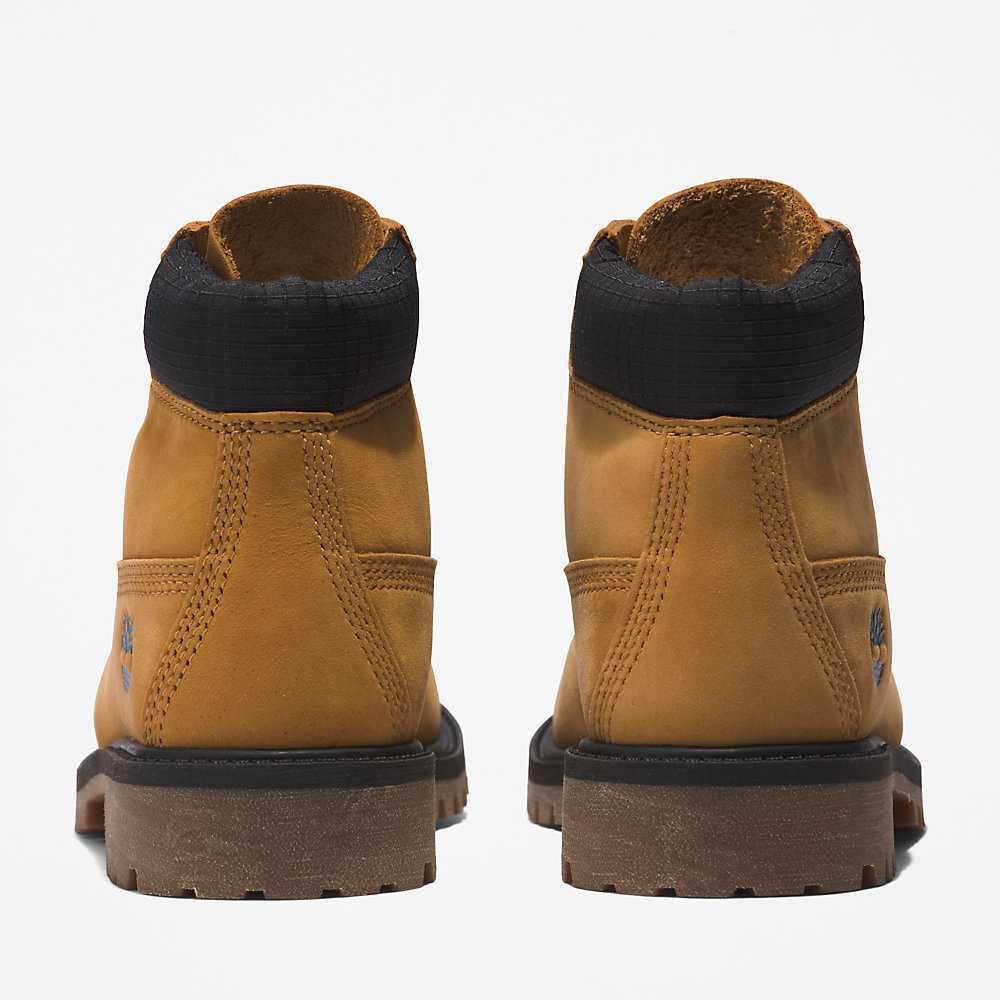 Kids' Timberland Premium® 6 Inch Waterproof Boots Light Brown | UAE-4219555