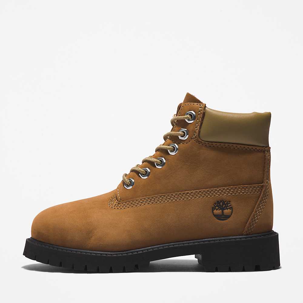 Kids' Timberland Premium® 6 Inch Waterproof Boots Brown | UAE-4219582