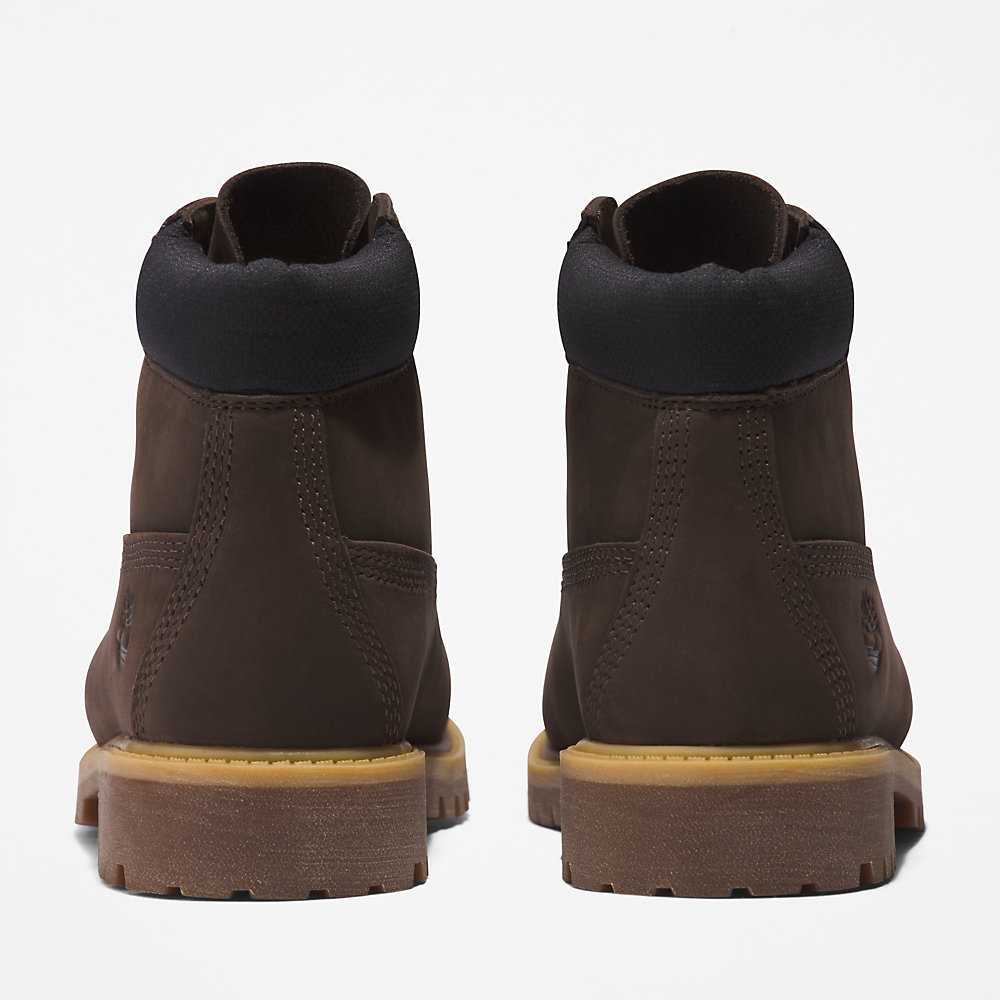 Kids' Timberland Premium® 6 Inch Waterproof Boots Dark Brown | UAE-4219588