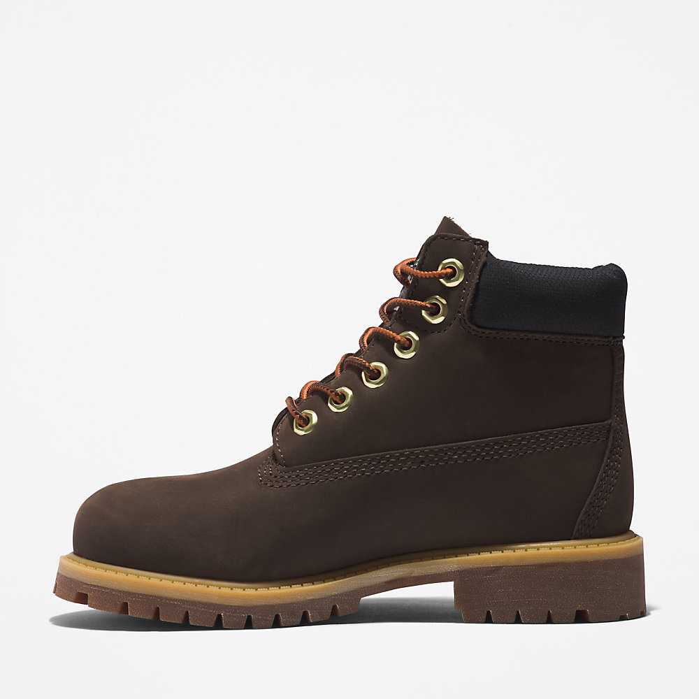 Kids' Timberland Premium® 6 Inch Waterproof Boots Dark Brown | UAE-4219588