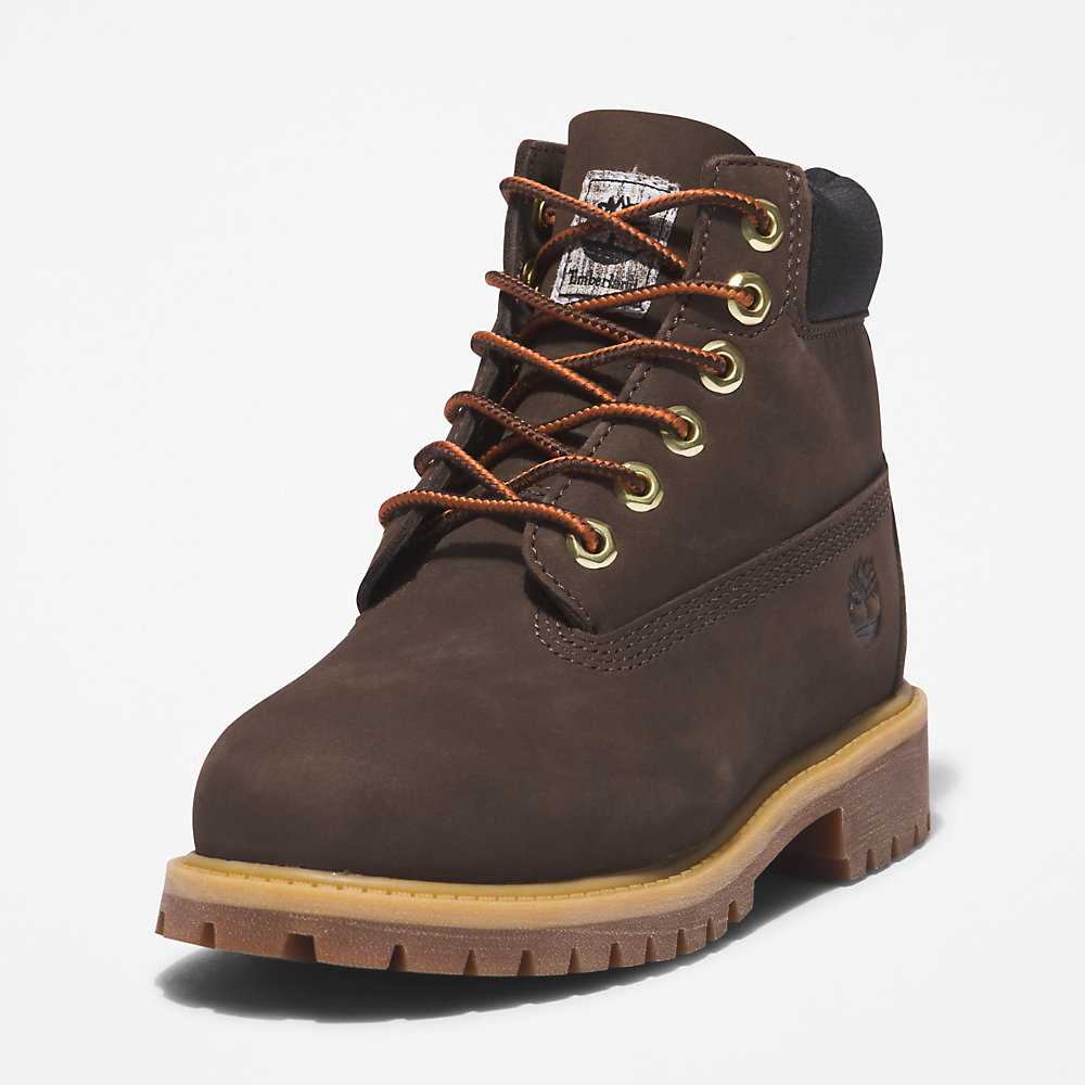 Kids' Timberland Premium® 6 Inch Waterproof Boots Dark Brown | UAE-4219588