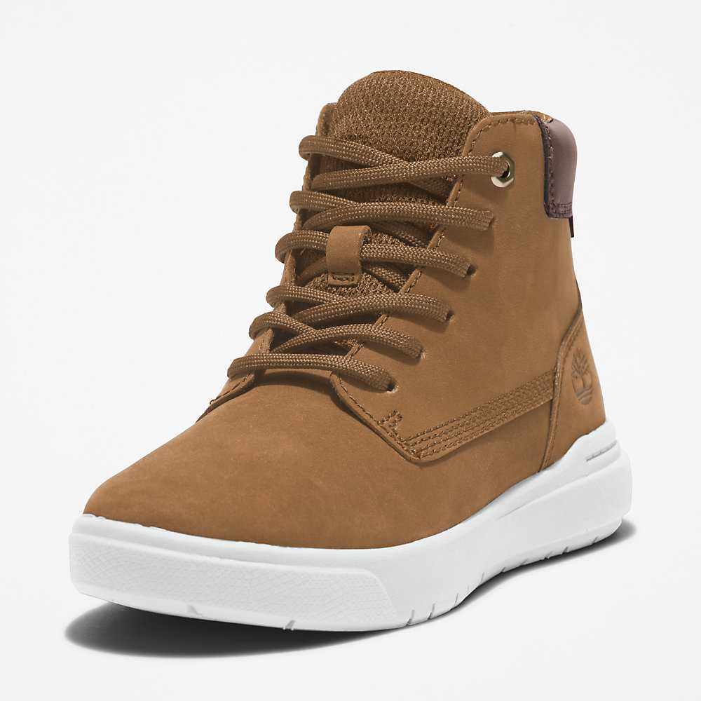 Kids' Timberland Seneca Bay Sneakers Light Brown | UAE-4219593