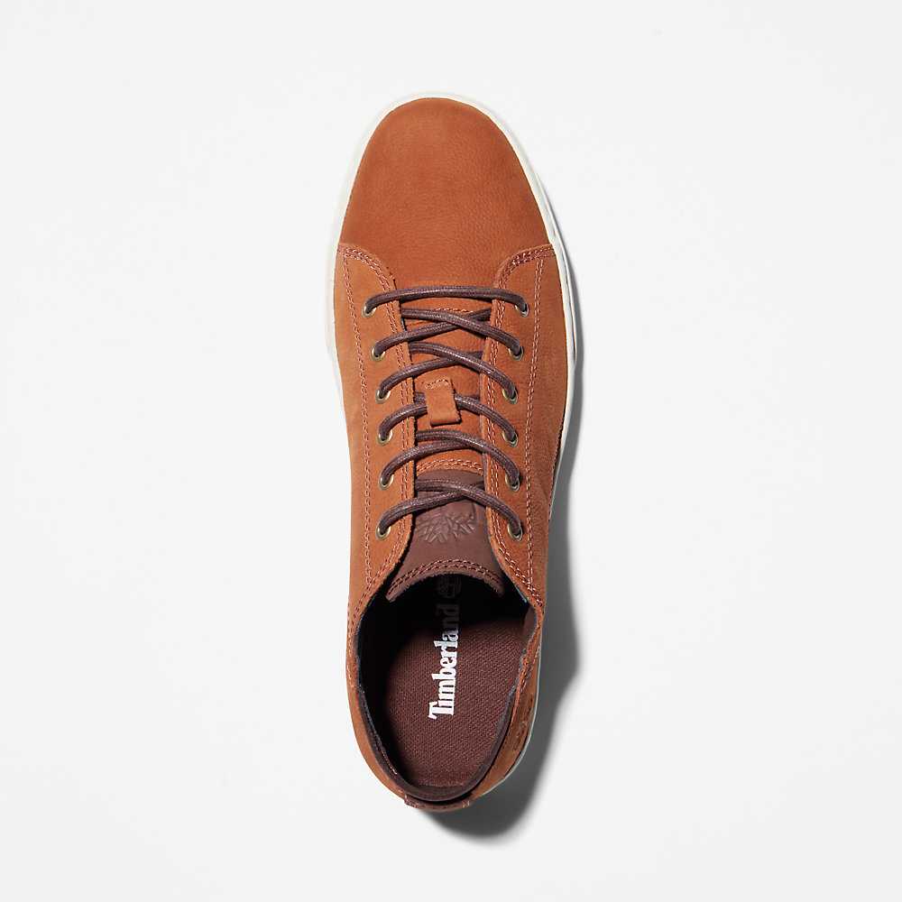 Men's Timberland Adventure 2.0 Cupsole Oxfords Shoes Brown | UAE-6297418