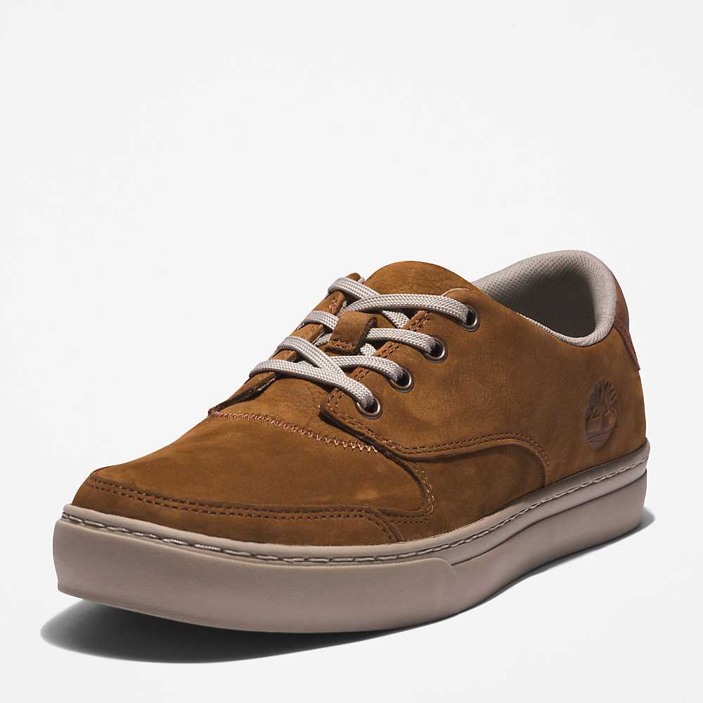 Men's Timberland Adventure 2.0 Low Sneakers Brown | UAE-4950218