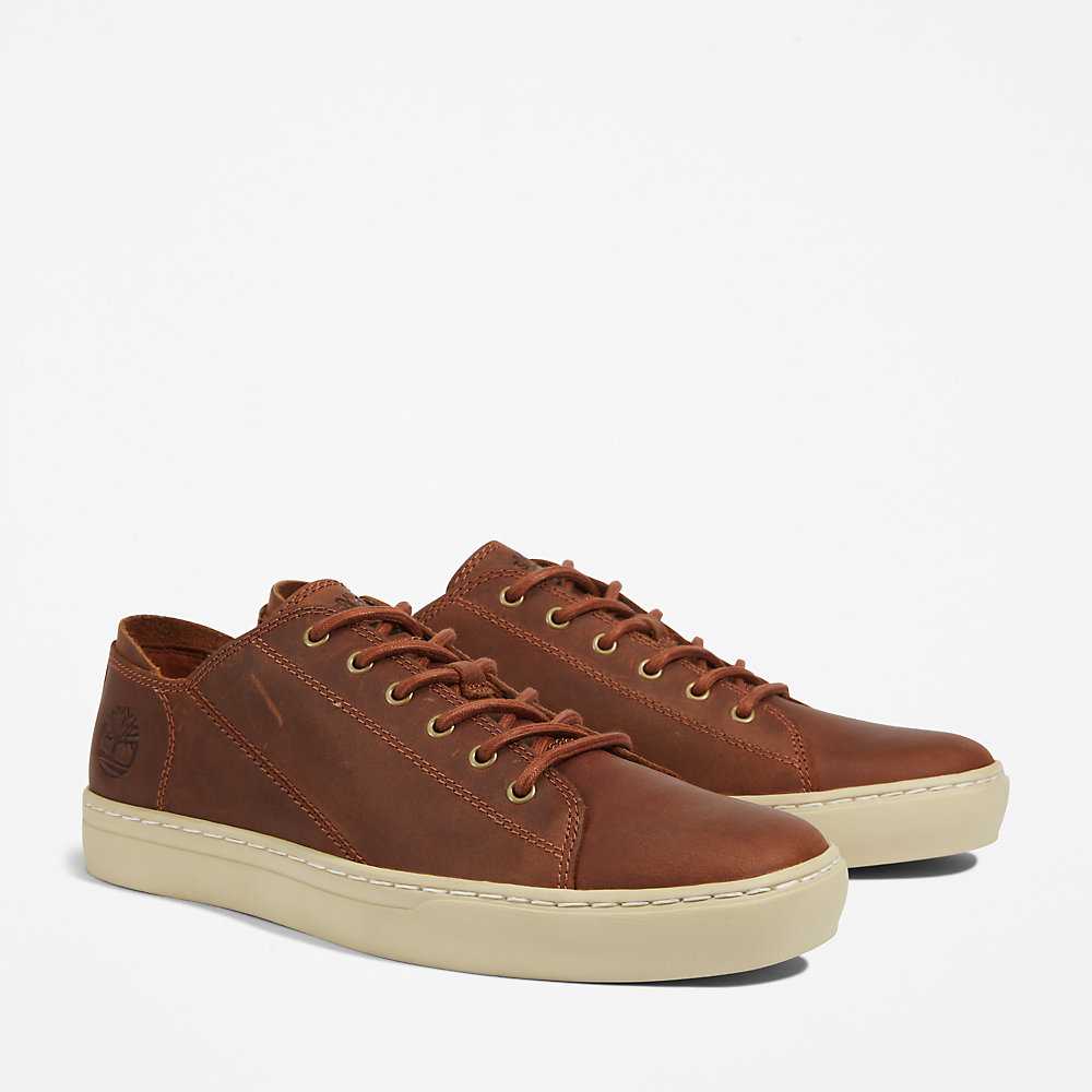 Men's Timberland Adventure 2.0 Sneakers Brown | UAE-3106472