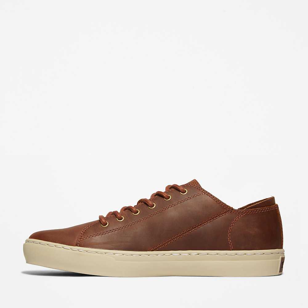 Men's Timberland Adventure 2.0 Sneakers Brown | UAE-3106472