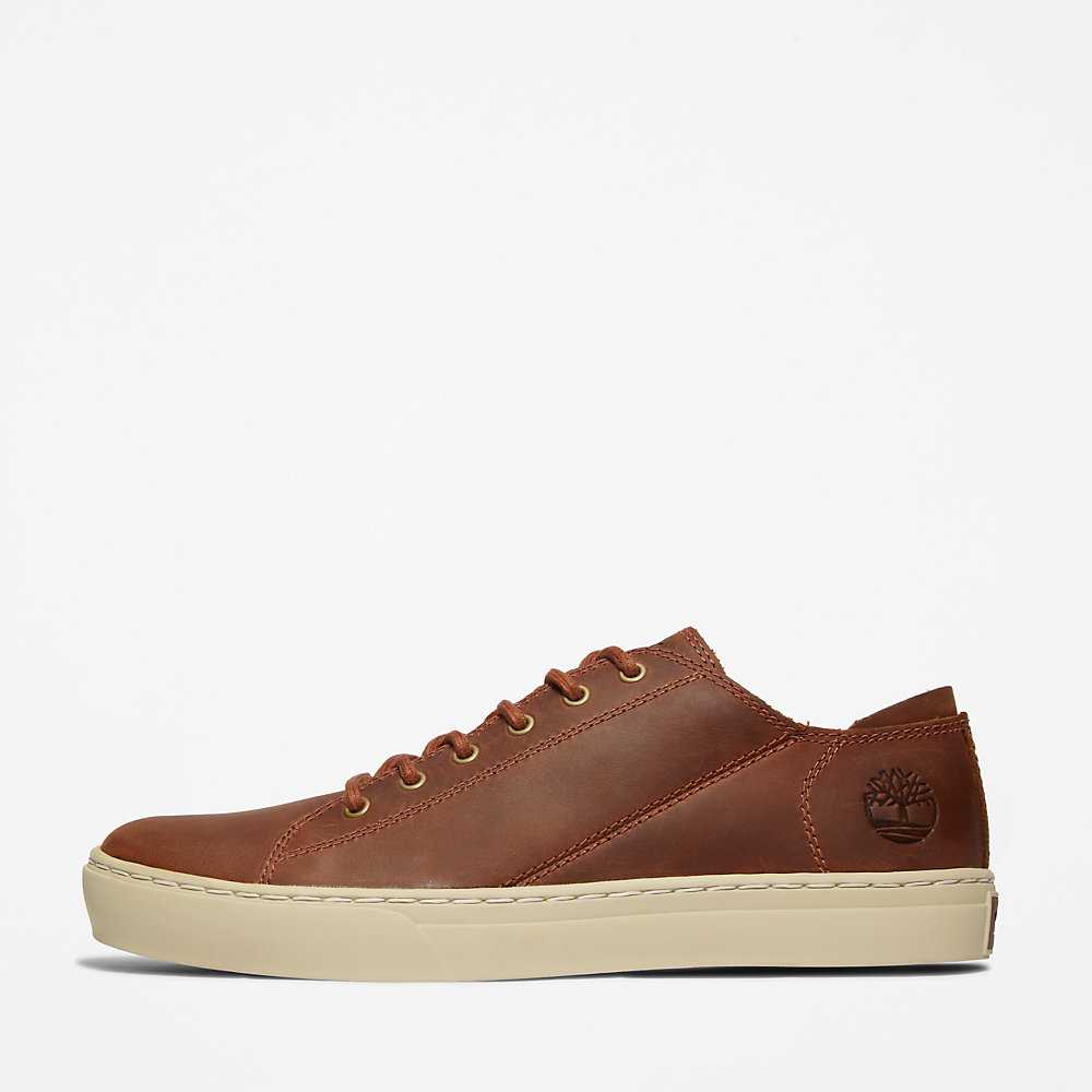 Men's Timberland Adventure 2.0 Sneakers Brown | UAE-3106472