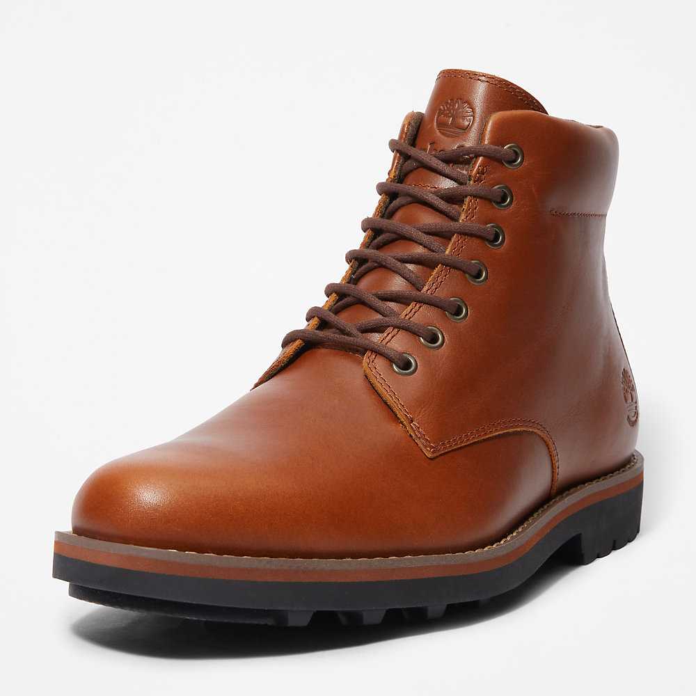 Men's Timberland Alden Brook Waterproof Boots Dark Brown | UAE-8072691