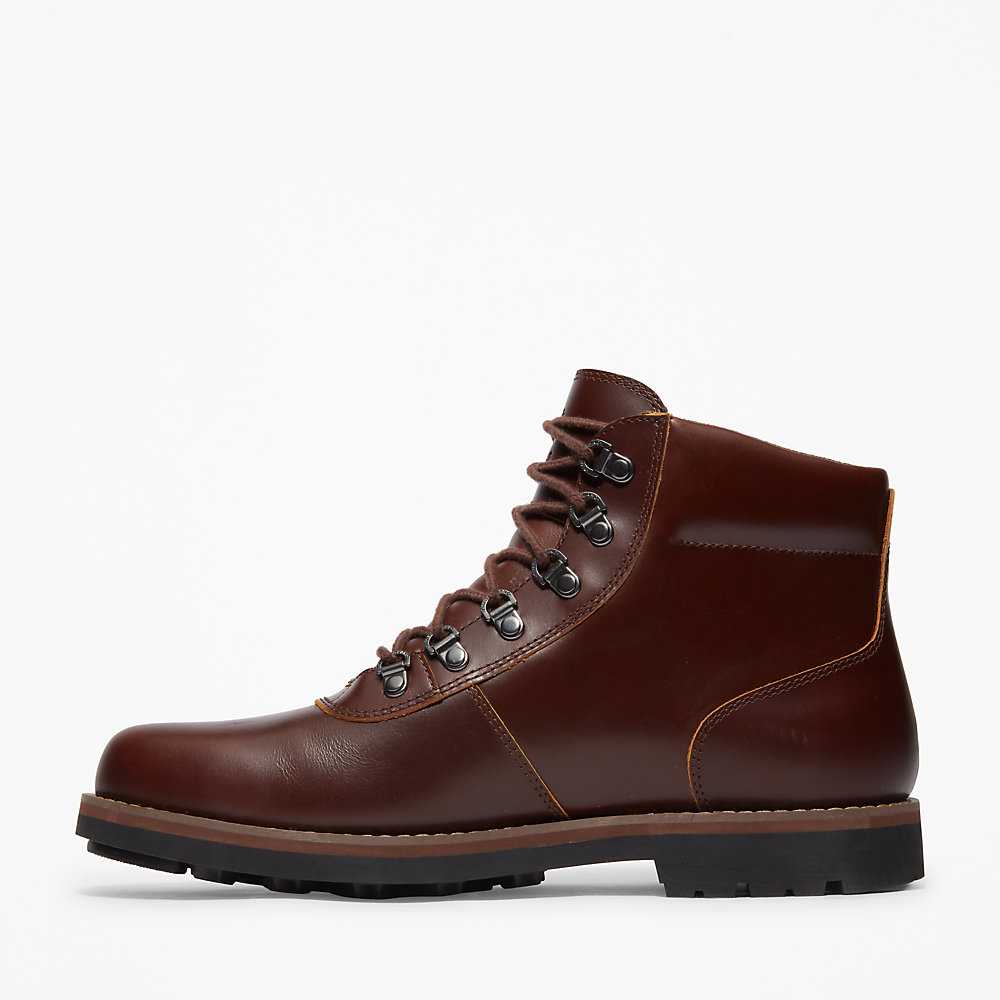 Men's Timberland Alden Brook Waterproof Boots Brown | UAE-8796543