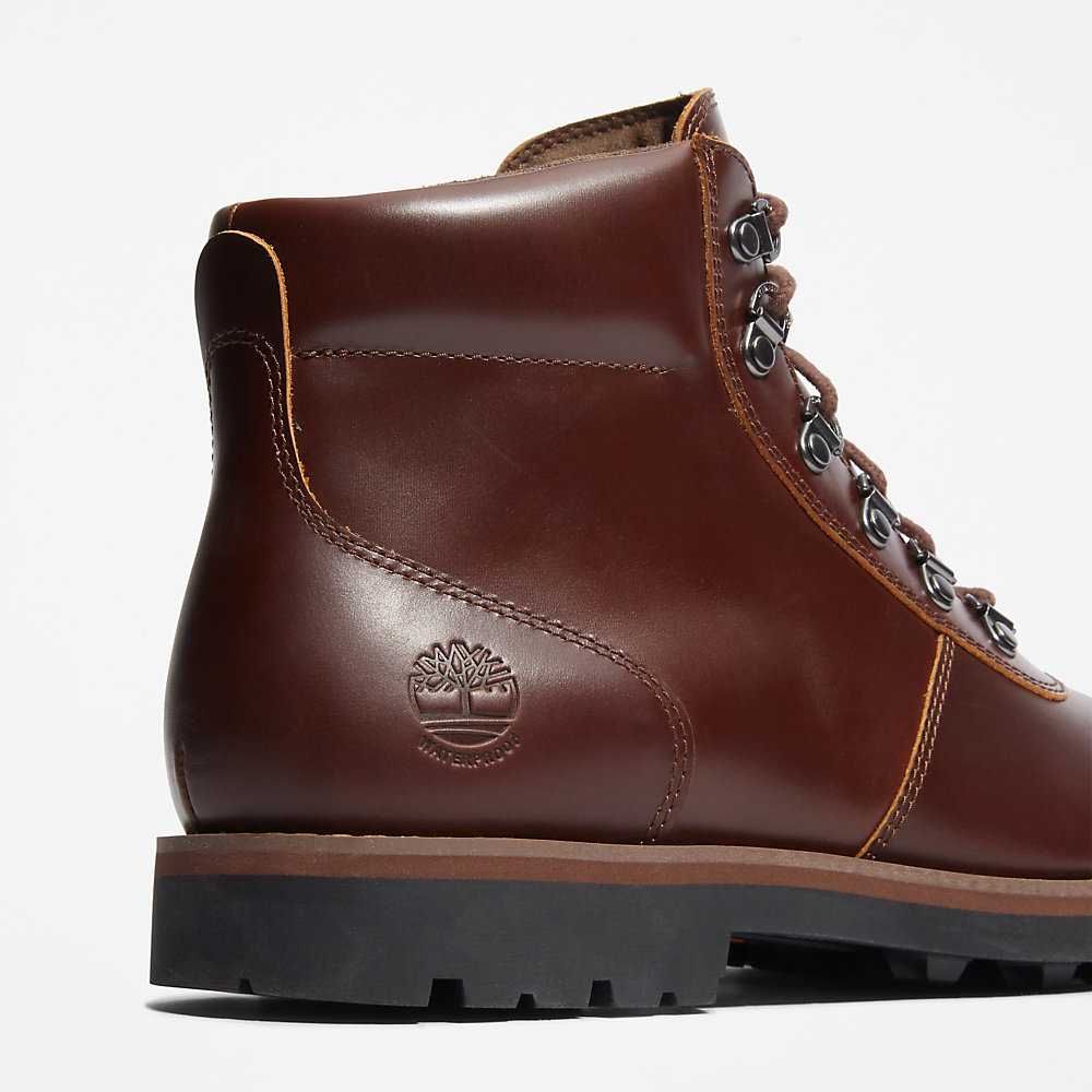 Men's Timberland Alden Brook Waterproof Boots Brown | UAE-8796543