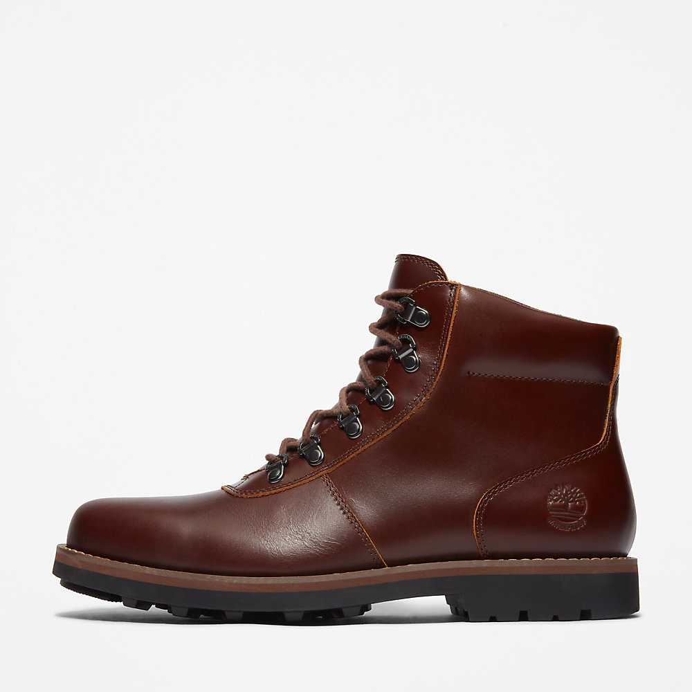 Men's Timberland Alden Brook Waterproof Boots Brown | UAE-8796543