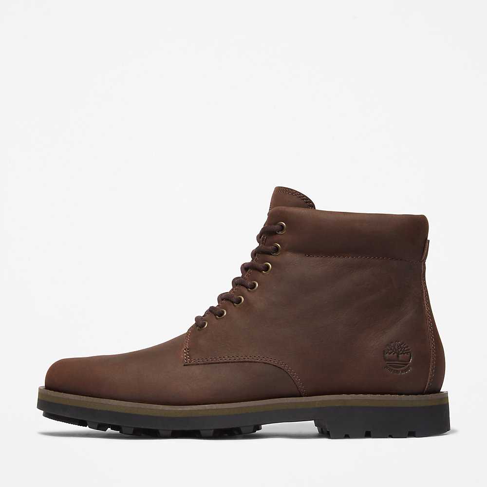 Men's Timberland Alden Brook Waterproof Boots Brown | UAE-9716425