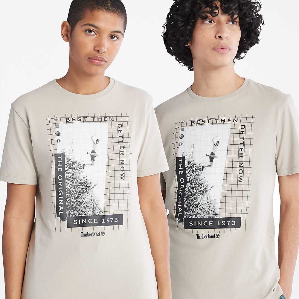 Men's Timberland All Gender Heavyweight Front-Graphic T Shirts Light Grey | UAE-4678135