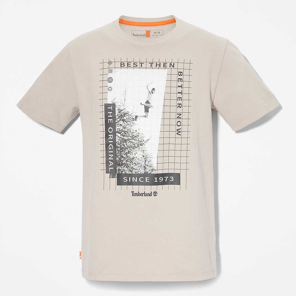 Men's Timberland All Gender Heavyweight Front-Graphic T Shirts Light Grey | UAE-4678135