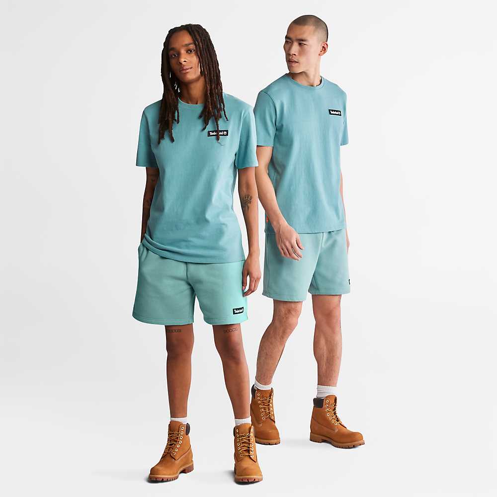 Men's Timberland All Gender Heavyweight Badge T Shirts Turquoise | UAE-6153490