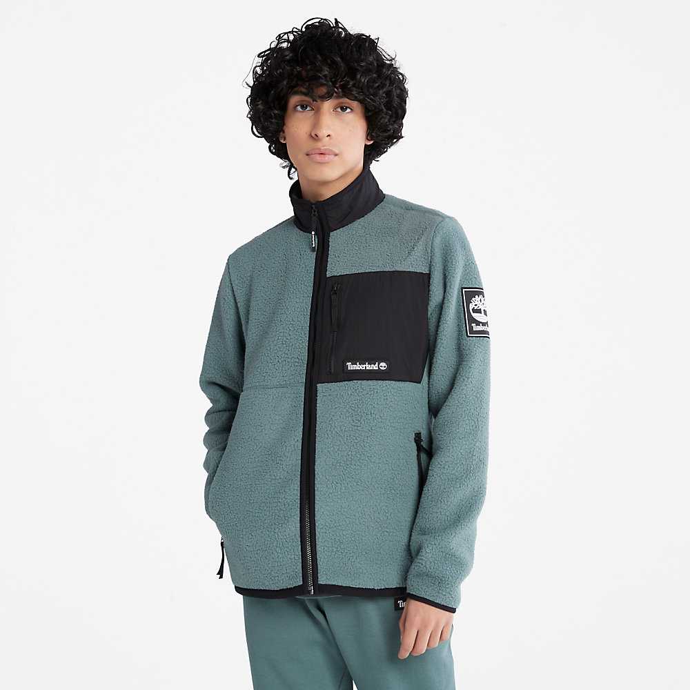 Men's Timberland All Gender Outdoor Archive Fleece Jackets Green | UAE-2684107