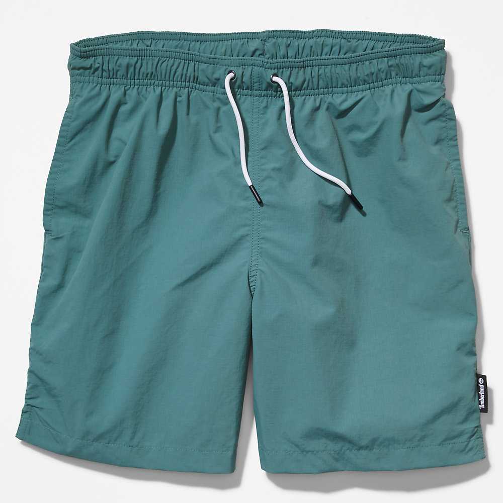 Men's Timberland All Gender Shorts Green | UAE-6940231