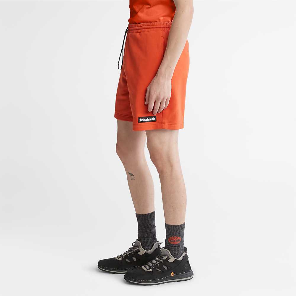 Men's Timberland All Gender Sweat Shorts Orange | UAE-1954820