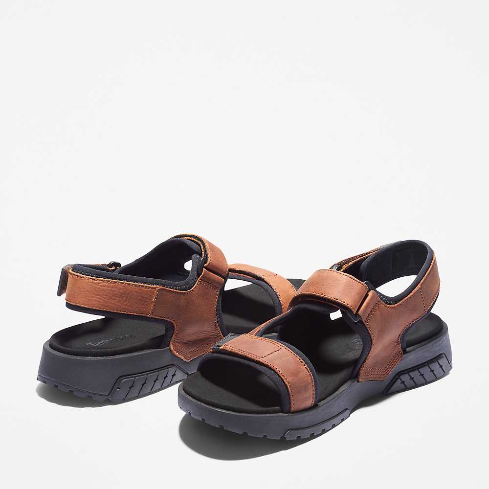 Men's Timberland Anchor Watch Sandals Brown | UAE-0543698