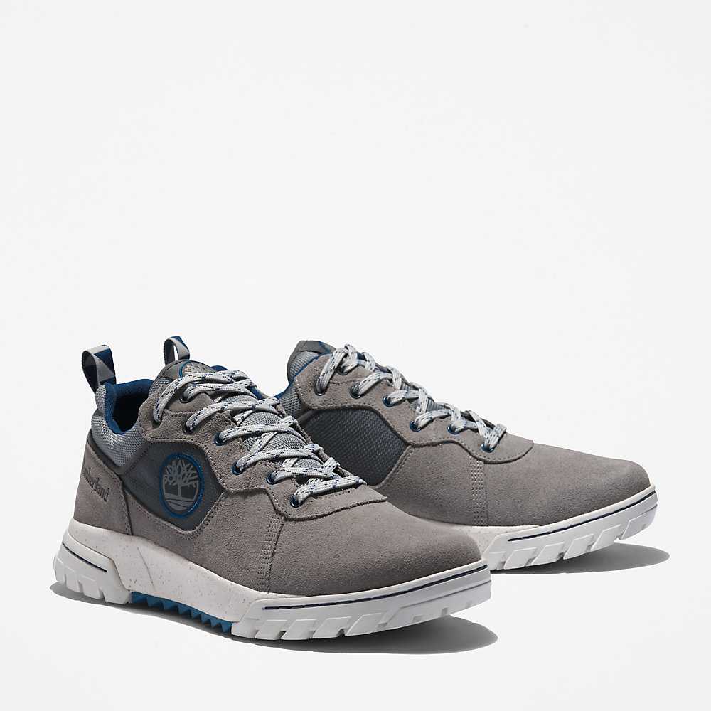 Men's Timberland Boulder Trail Sneakers Grey | UAE-5726194