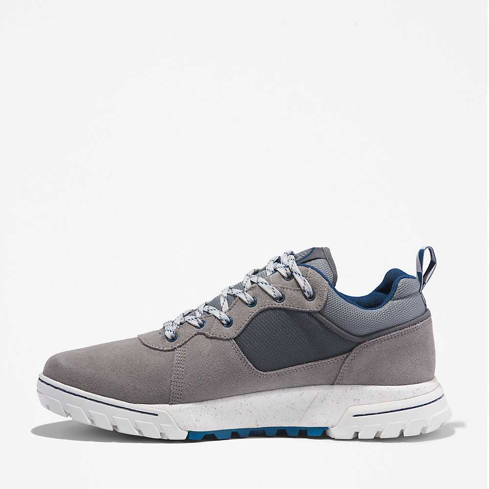 Men's Timberland Boulder Trail Sneakers Grey | UAE-5726194