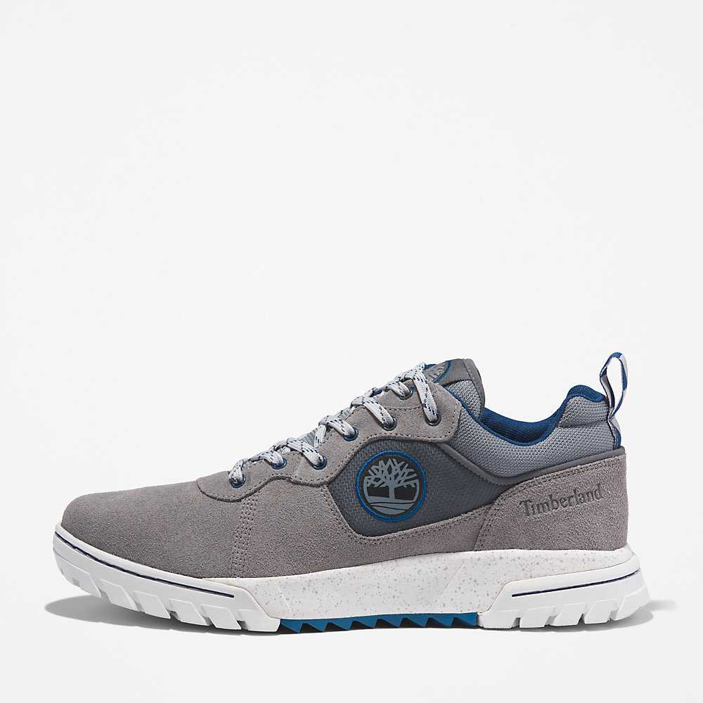 Men's Timberland Boulder Trail Sneakers Grey | UAE-5726194