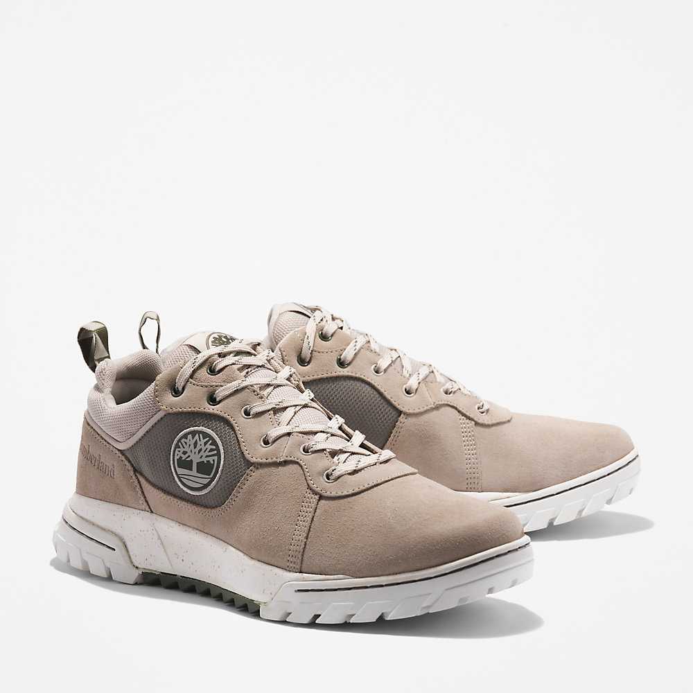 Men's Timberland Boulder Trail Sneakers Beige | UAE-7068253