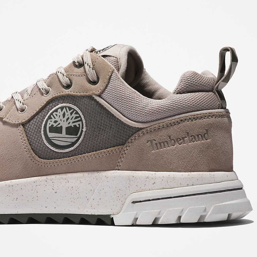 Men's Timberland Boulder Trail Sneakers Beige | UAE-7068253