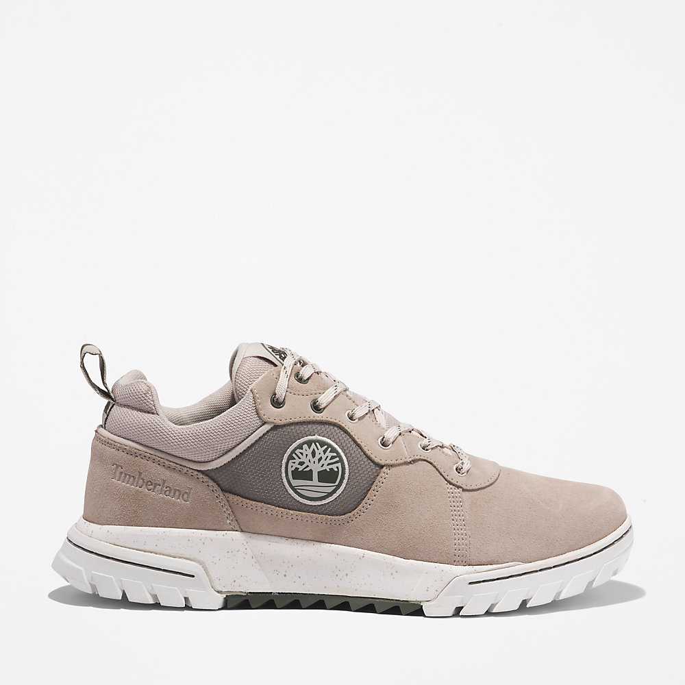 Men\'s Timberland Boulder Trail Sneakers Beige | UAE-7068253