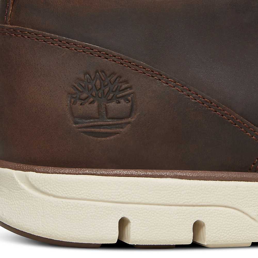 Men's Timberland Bradstreet Chukka Boots Dark Brown | UAE-8417532