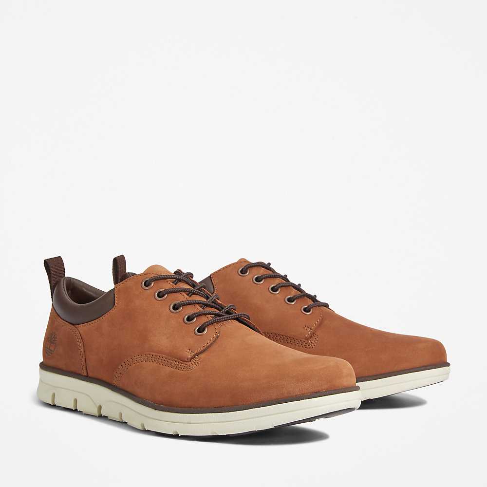 Men's Timberland Bradstreet Leather Oxfords Shoes Brown | UAE-7653210