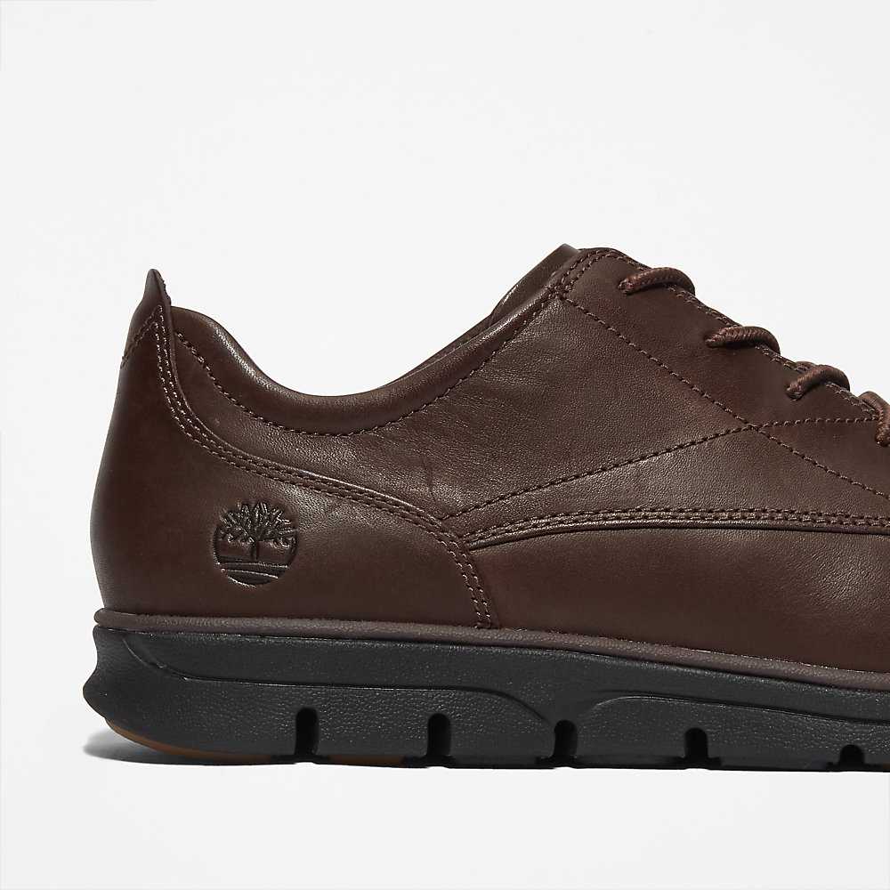 Men's Timberland Bradstreet Oxfords Shoes Brown | UAE-2891374