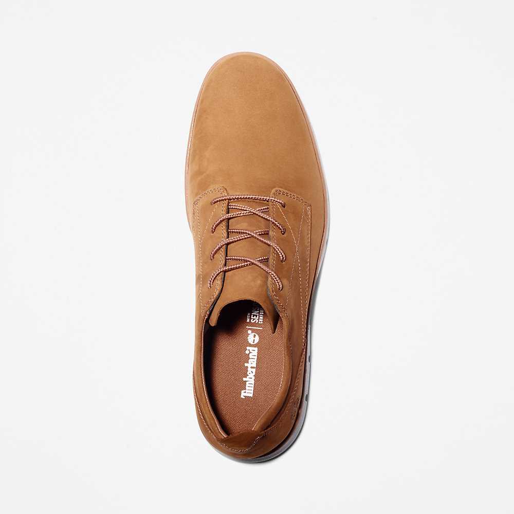 Men's Timberland Bradstreet Sneakers Brown | UAE-2716493