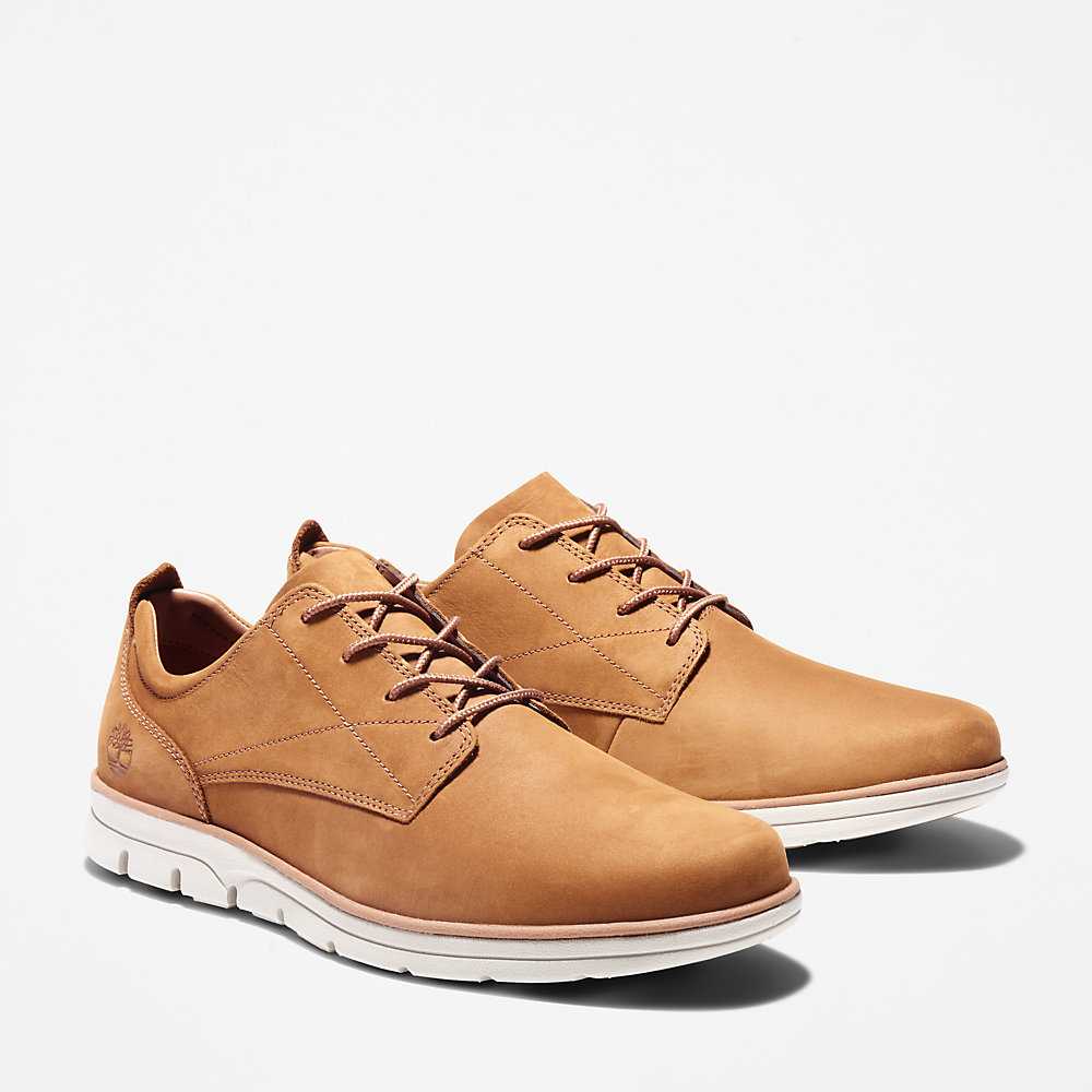 Men's Timberland Bradstreet Sneakers Brown | UAE-2716493