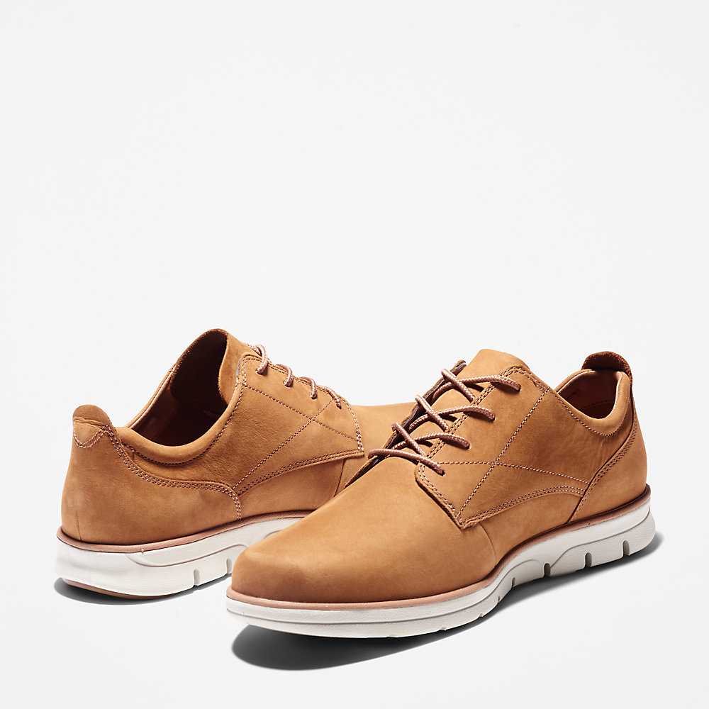 Men's Timberland Bradstreet Sneakers Brown | UAE-2716493