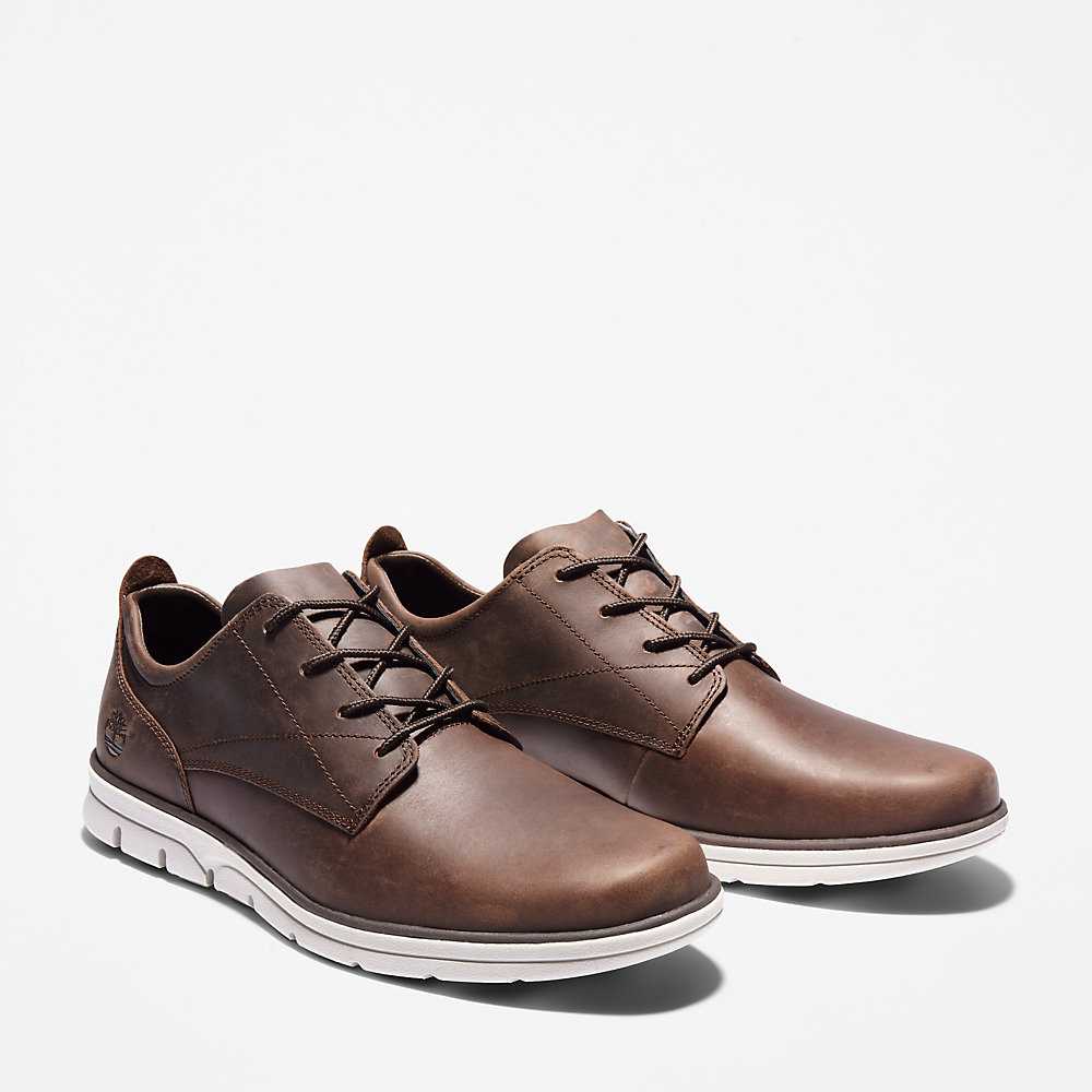 Men's Timberland Bradstreet Sneakers Dark Brown | UAE-8073165