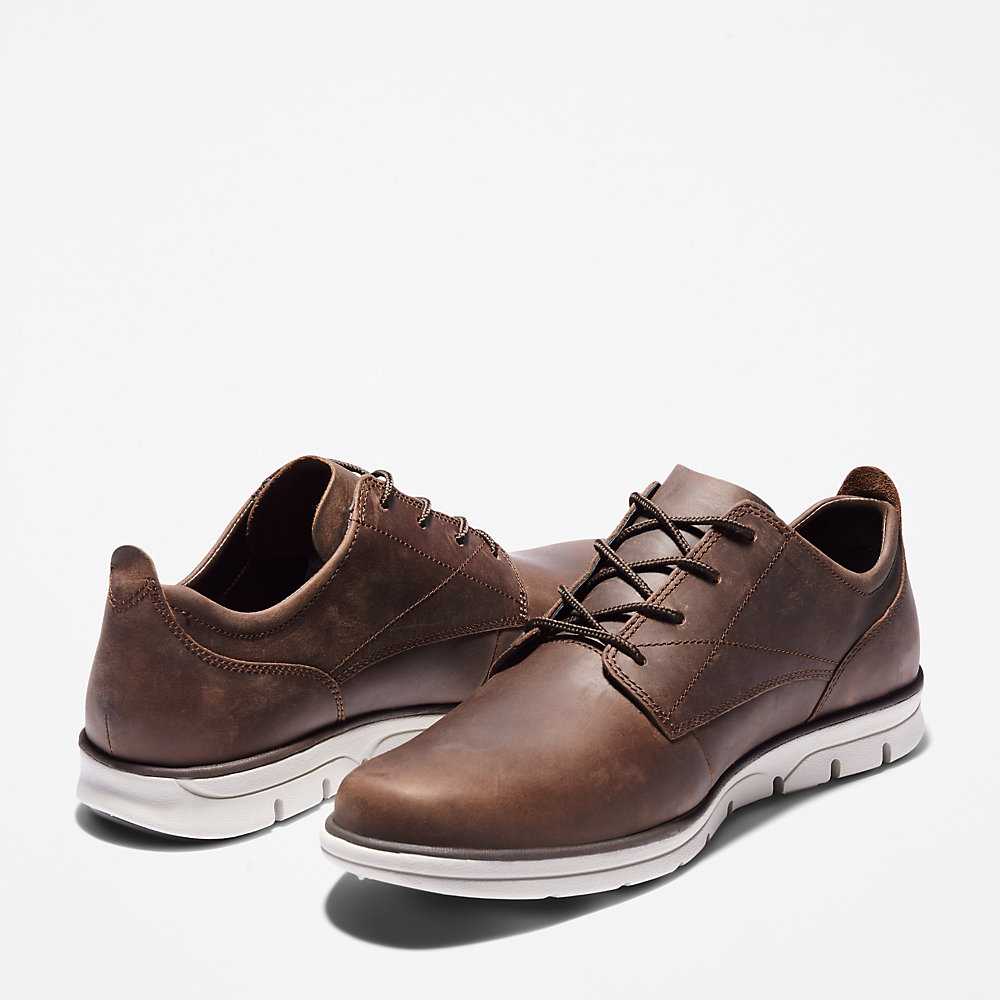 Men's Timberland Bradstreet Sneakers Dark Brown | UAE-8073165