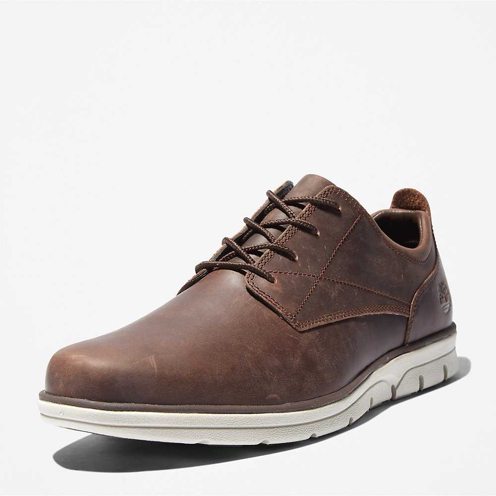 Men's Timberland Bradstreet Sneakers Dark Brown | UAE-8073165